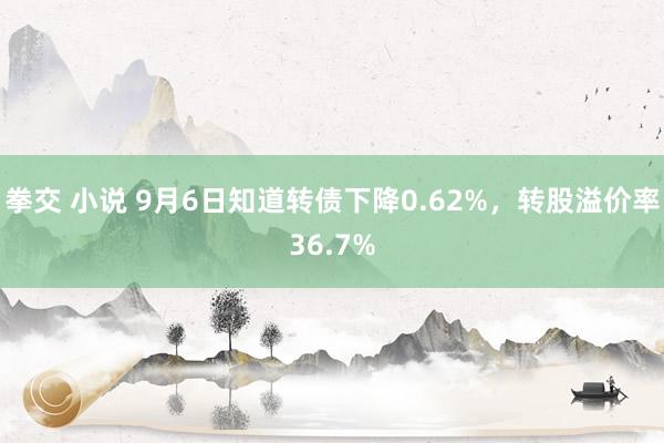 拳交 小说 9月6日知道转债下降0.62%,转股溢价率36.7%