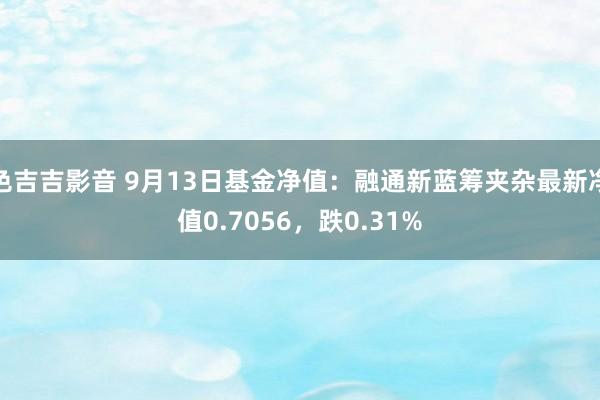色吉吉影音 9月13日基金净值:融通新蓝筹夹杂最新净值0.7056,跌0.31%