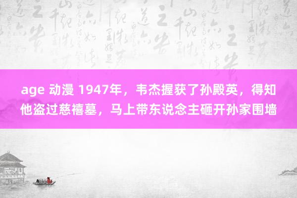 age 动漫 1947年,韦杰握获了孙殿英,得知他盗过慈禧墓,马上带东说念主砸开孙家围墙