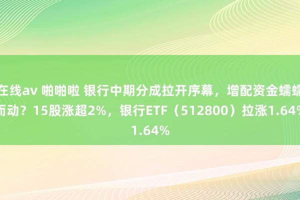 在线av 啪啪啦 银行中期分成拉开序幕,增配资金蠕蠕而动?15股涨超2%,银行ETF(512800)拉涨1.64%
