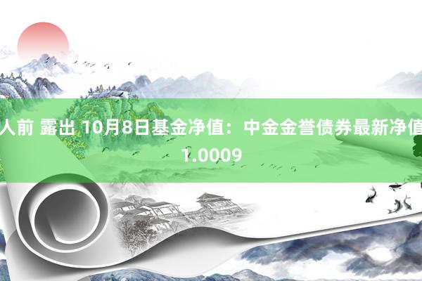 人前 露出 10月8日基金净值:中金金誉债券最新净值1.0009