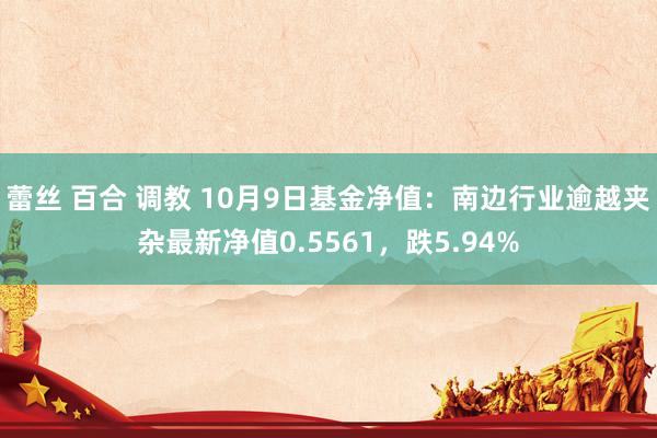 蕾丝 百合 调教 10月9日基金净值:南边行业逾越夹杂最新净值0.5561,跌5.94%