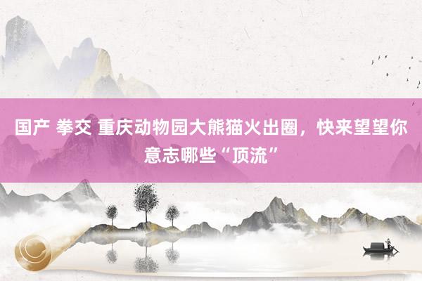 国产 拳交 重庆动物园大熊猫火出圈,快来望望你意志哪些“顶流”
