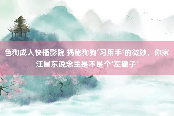 色狗成人快播影院 揭秘狗狗‘习用手’的微妙,你家汪星东说念主是不是个‘左撇子’
