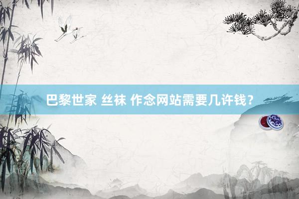 巴黎世家 丝袜 作念网站需要几许钱?