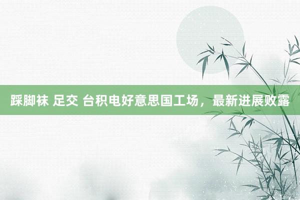 踩脚袜 足交 台积电好意思国工场,最新进展败露