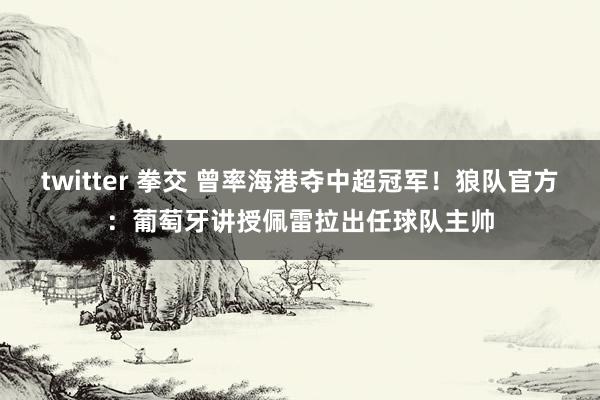 twitter 拳交 曾率海港夺中超冠军!狼队官方:葡萄牙讲授佩雷拉出任球队主帅