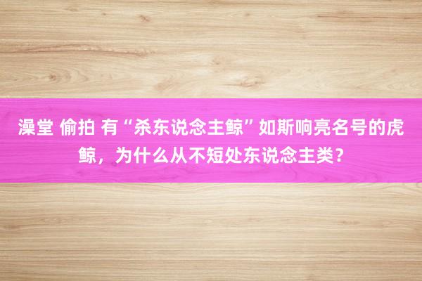 澡堂 偷拍 有“杀东说念主鲸”如斯响亮名号的虎鲸,为什么从不短处东说念主类?