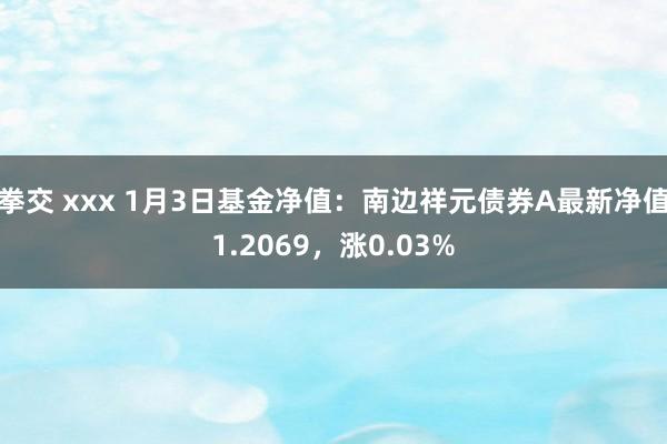 拳交 xxx 1月3日基金净值:南边祥元债券A最新净值1.2069,涨0.03%