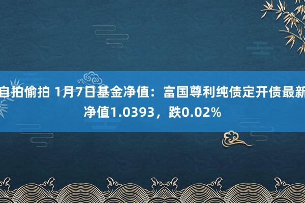 自拍偷拍 1月7日基金净值:富国尊利纯债定开债最新净值1.0393,跌0.02%