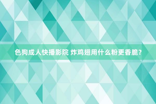 色狗成人快播影院 炸鸡翅用什么粉更香脆?