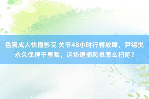 色狗成人快播影院 关节48小时行将放肆,尹锡悦永久保捏千里默,这场逮捕风暴怎么扫尾?