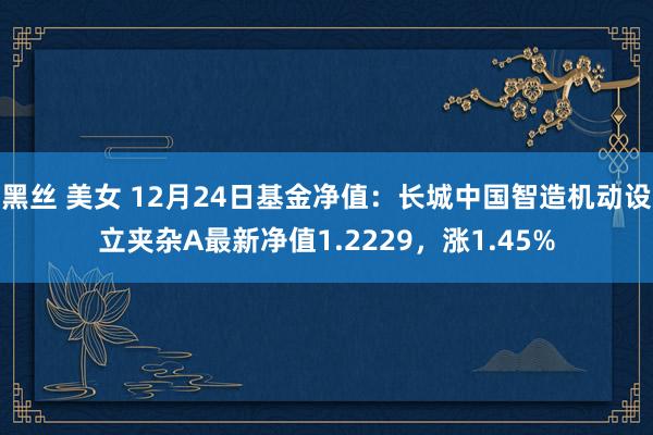 黑丝 美女 12月24日基金净值:长城中国智造机动设立夹杂A最新净值1.2229,涨1.45%