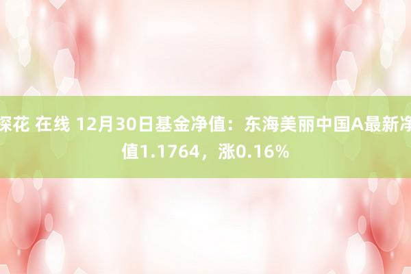 探花 在线 12月30日基金净值:东海美丽中国A最新净值1.1764,涨0.16%