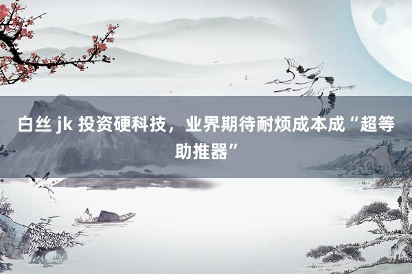 白丝 jk 投资硬科技,业界期待耐烦成本成“超等助推器”
