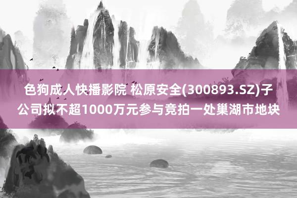 色狗成人快播影院 松原安全(300893.SZ)子公司拟不超1000万元参与竞拍一处巢湖市地块