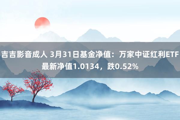 吉吉影音成人 3月31日基金净值:万家中证红利ETF最新净值1.0134,跌0.52%