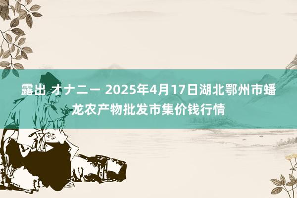 露出 オナニー 2025年4月17日湖北鄂州市蟠龙农产物批发市集价钱行情