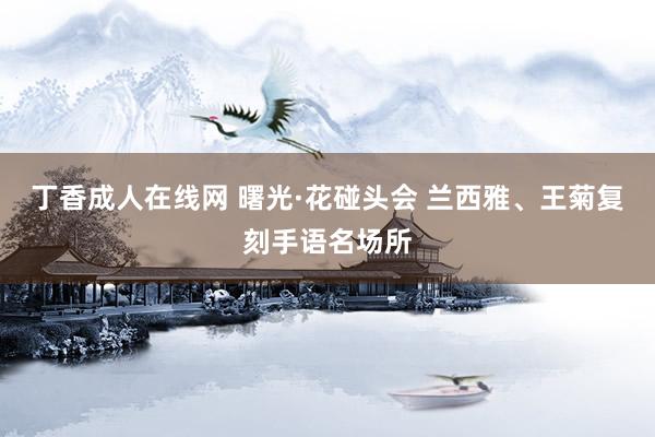丁香成人在线网 曙光·花碰头会 兰西雅、王菊复刻手语名场所